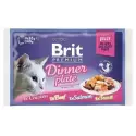 BRIT Premium Cat Jelly Fillet Dinner Plate 4x85g