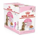 ROYAL CANIN FHN Kitten Sterilised w galaretce 12x85g