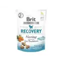 Przysmak Brit Care Dog Recovery Herring 150g