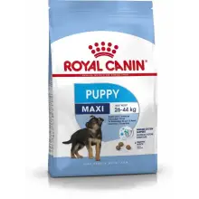 ROYAL CANIN SHN Maxi Puppy 4 KG