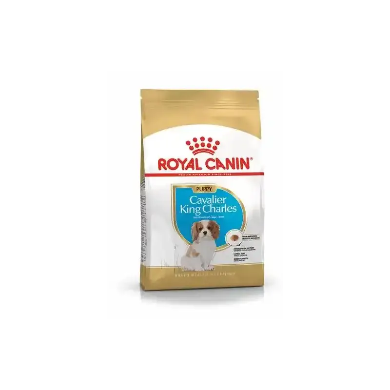 ROYAL CANIN BHN Cavalier King Charles Spaniel Puppy 1,5KG