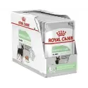 ROYAL CANIN CCN DIGESTIVE CARE LOAF 12X85G