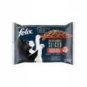 FELIX Deliciously Sliced Wiejskie Smaki 4x 80 g