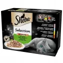 SHEBA Selection in Sauce Mix Smaków w sosie 12x85 g