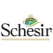 Schesir
